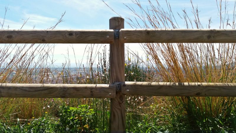 Stained Fence with Natural Setting